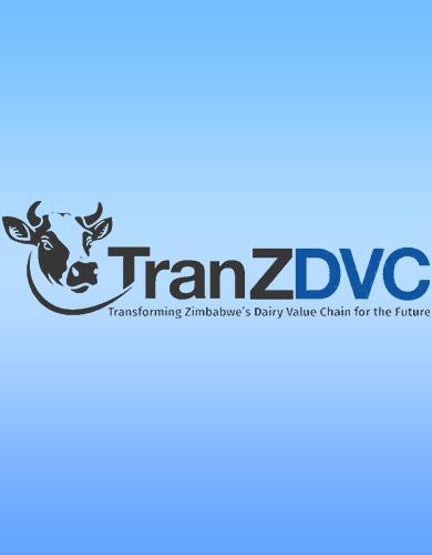 TranzDVC