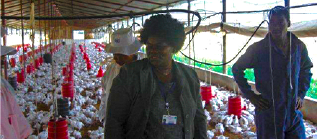Mrs Mhapi in her chicken shed