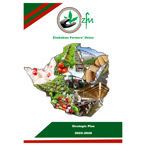 Strategic Plan Launch