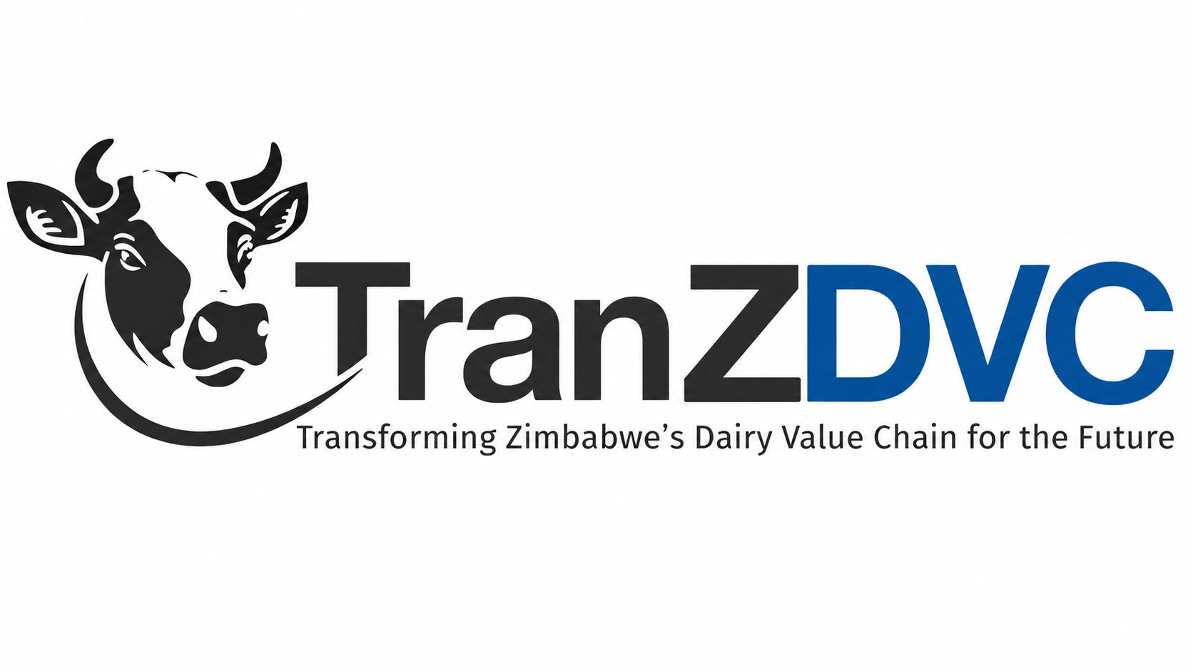 TransZDVC