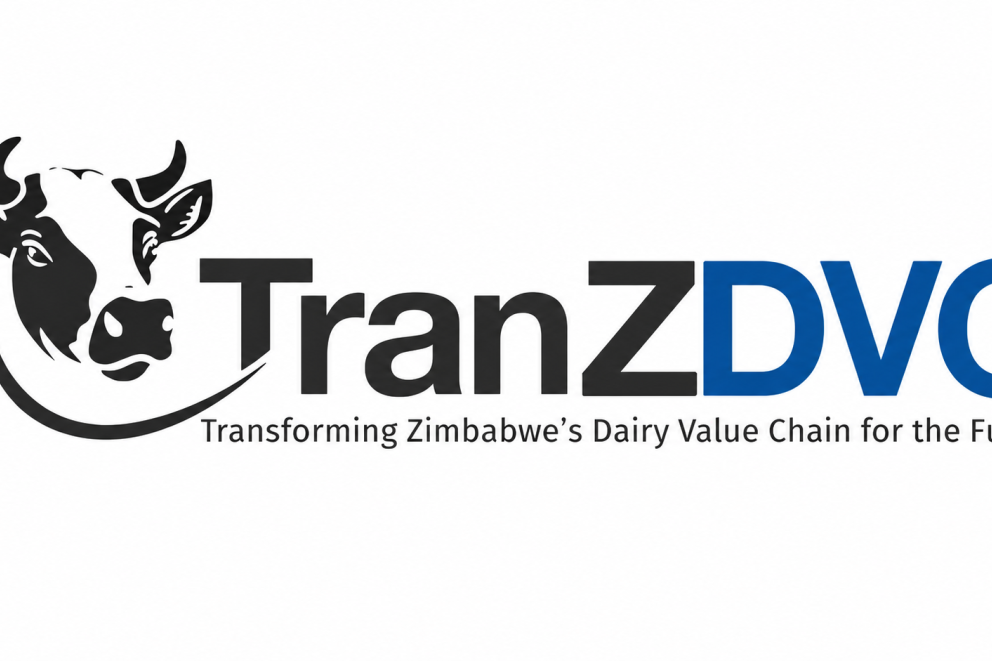 TransZDVC