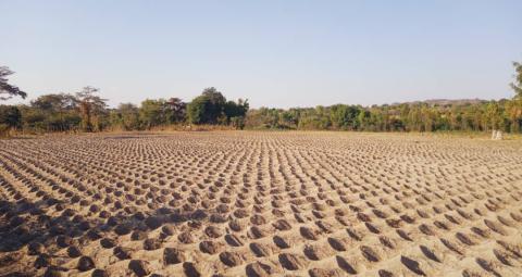 conservation agriculture