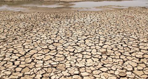 Dry land 