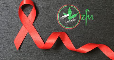 AIDS and Agriculture: a challenge for food security in Africa